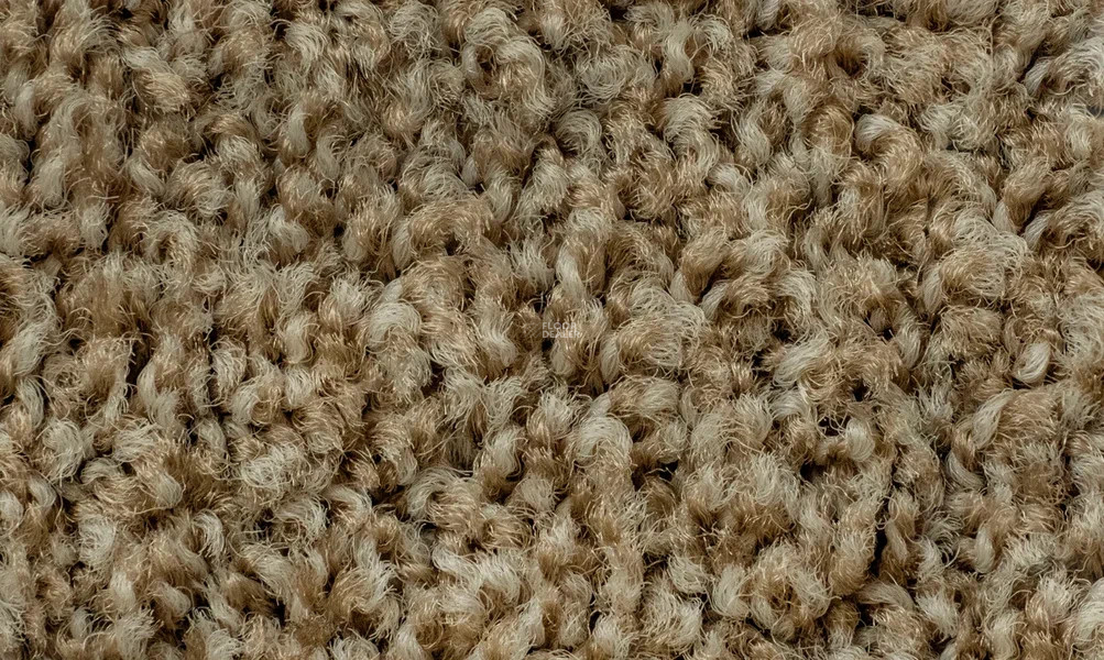 Vorwerk Exclusive1009/Elara 8g82 фото 2 | FLOORDEALER